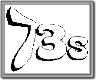 73S 73S